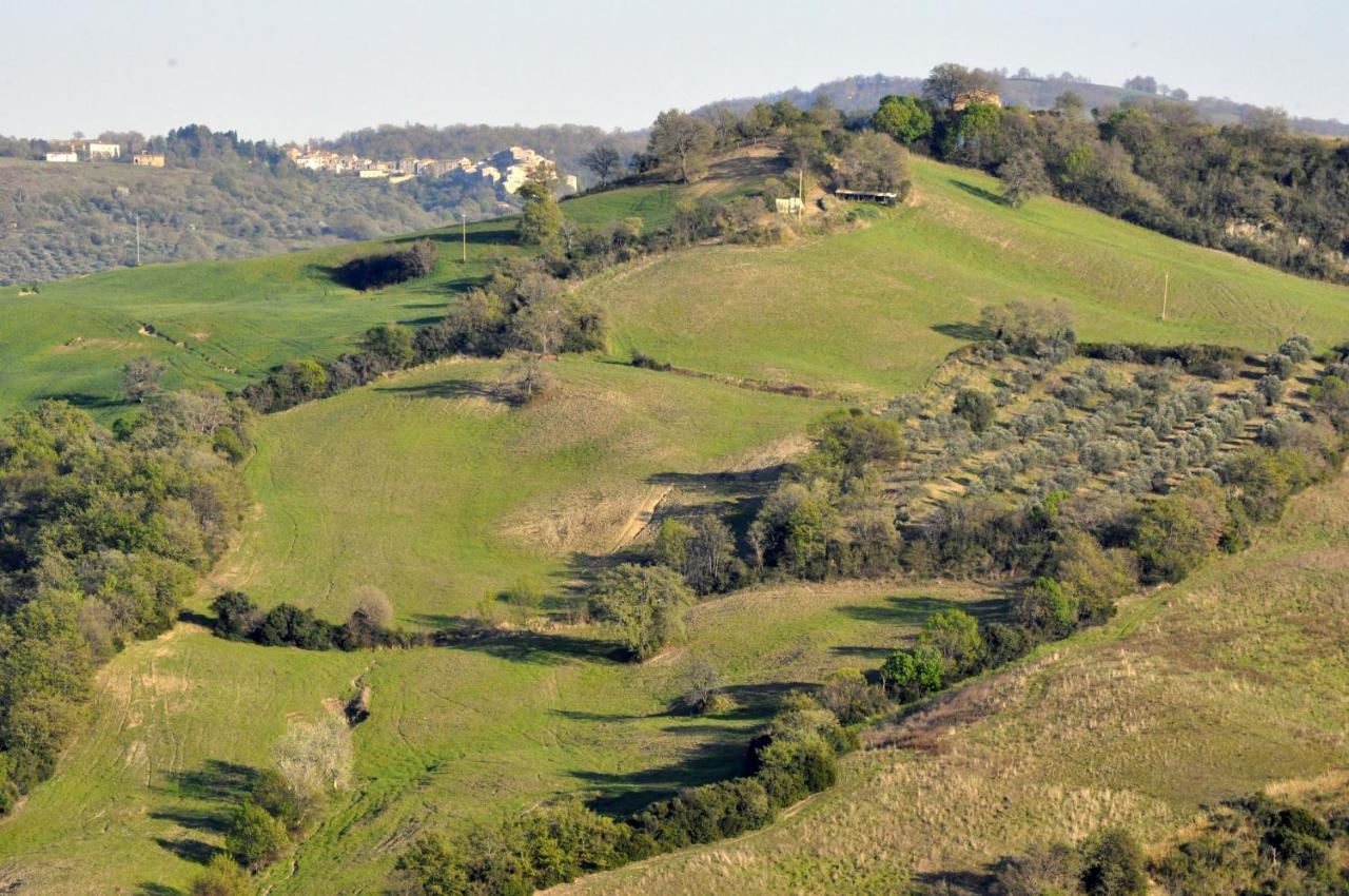 La Colombera In Toscana Roccalbegna Eksteriør billede