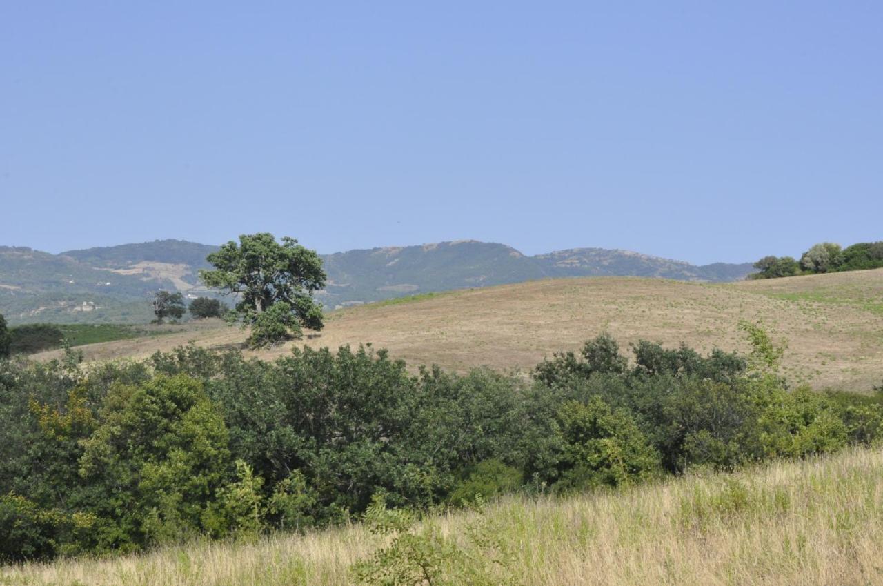 La Colombera In Toscana Roccalbegna Eksteriør billede