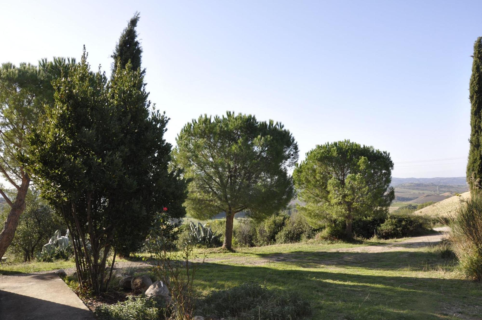 La Colombera In Toscana Roccalbegna Eksteriør billede