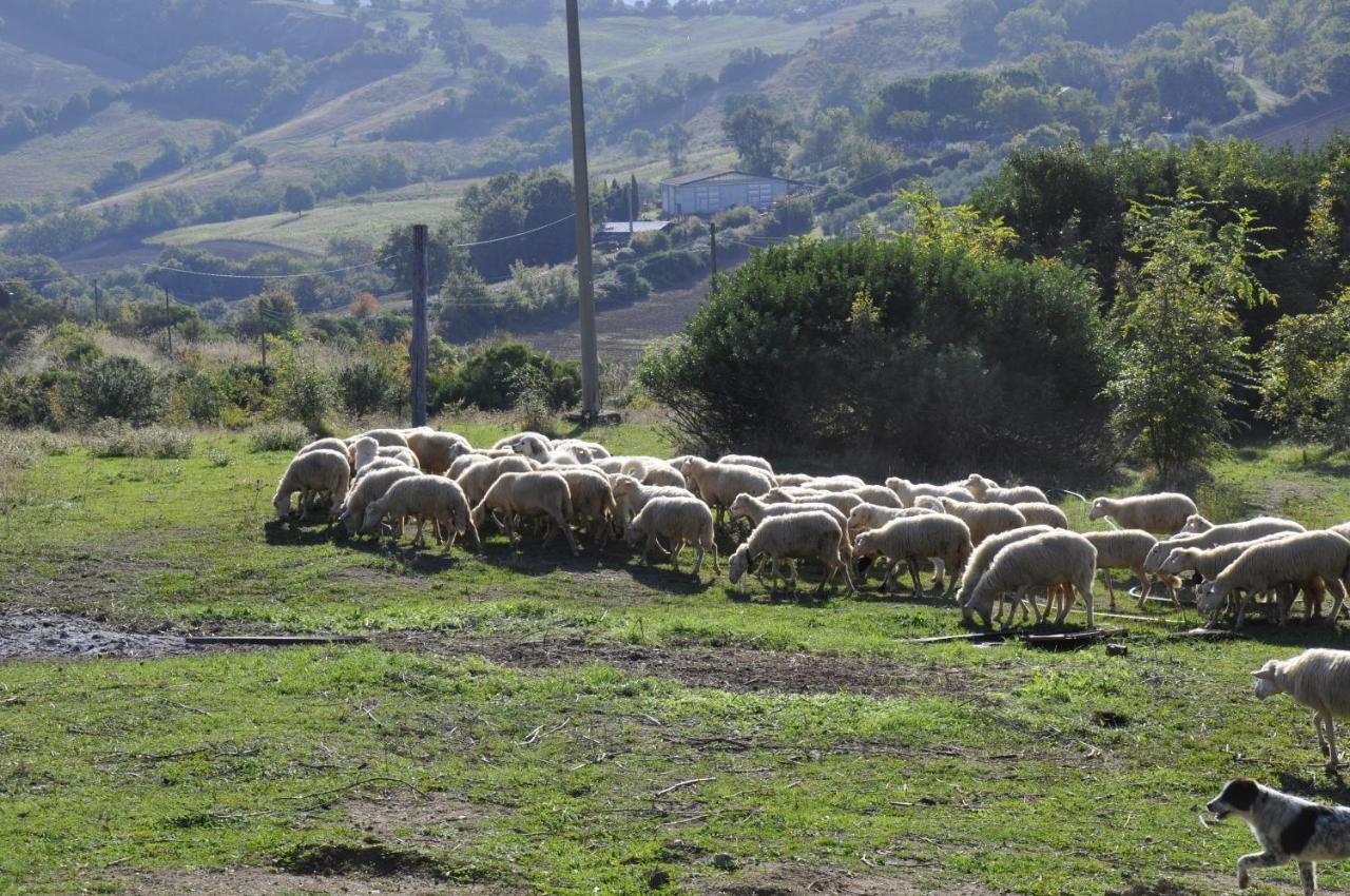 La Colombera In Toscana Roccalbegna Eksteriør billede