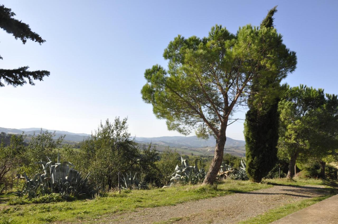 La Colombera In Toscana Roccalbegna Eksteriør billede