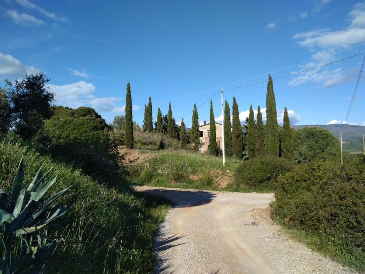La Colombera In Toscana Roccalbegna Eksteriør billede
